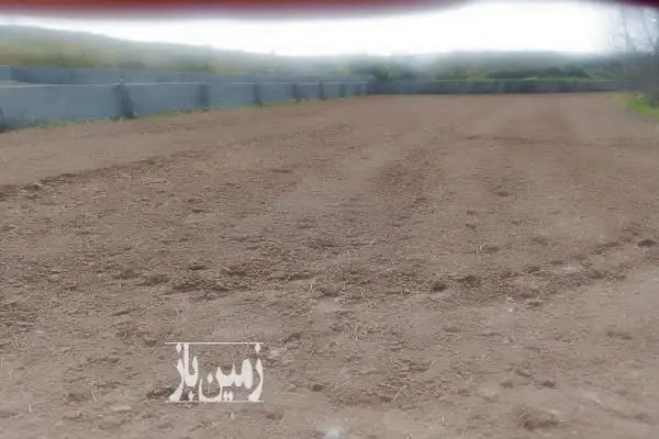زمین کشاورزی و مسکونی روستای قادیکلا بزرگ ۶۰۰ متر - تصویر 3
