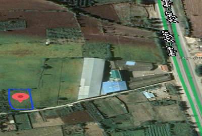 زمین کشاورزی ۷۰۰ متری فروشی