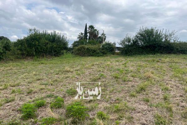 فروش زمین به متراژ ۵۰۰ متر در جاده نظامی-3