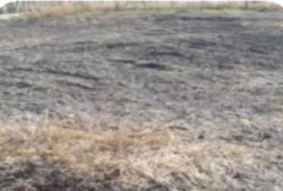 زمین کشاورزی ۴۰۰متر جاده تبریز روستای سعیدلو