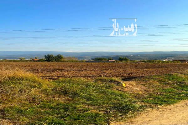 زمین ۴۰ هکتار کشاورزی صنعتی در بهشهر-1