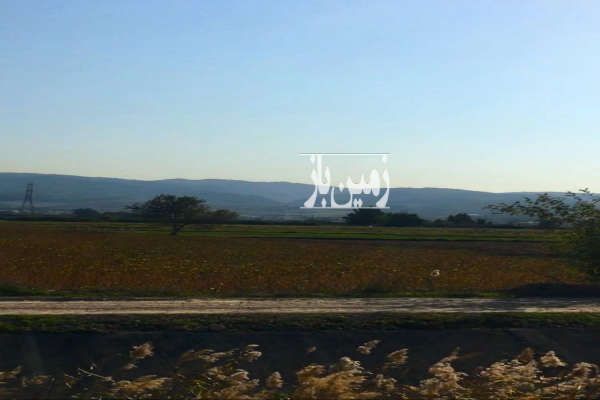 زمین ۴۰ هکتار کشاورزی صنعتی در بهشهر-2