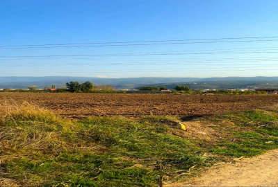 زمین ۴۰ هکتار کشاورزی صنعتی در بهشهر