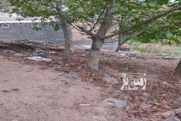 زمین خوش قواره سی دشت روستای گردویشه ۱۹۰ متر-1