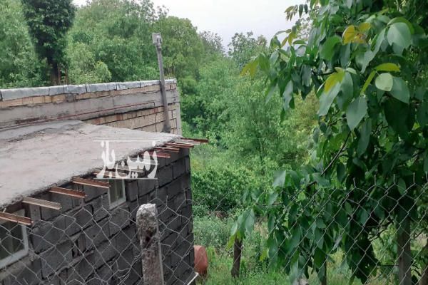 زمین خوش قواره سی دشت روستای گردویشه ۱۶۵ متر-3