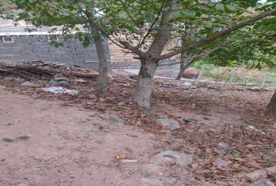 زمین خوش قواره سی دشت روستای گردویشه ۱۹۰ متر