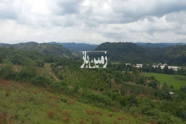 زمین باغی ویو عالی خیابان ساری روستای ریکنده ۱۲۰۰ متر-1