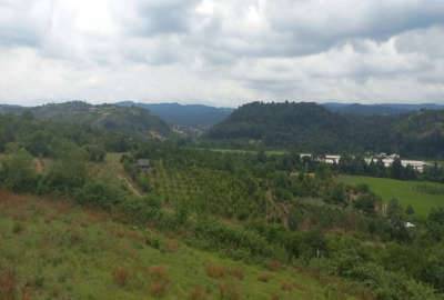 زمین باغی ویو عالی خیابان ساری روستای ریکنده ۱۲۰۰ متر