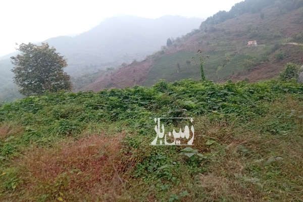 زمین دردل جنگل بادسترسی کامل ۷۰۰۰ متر-1