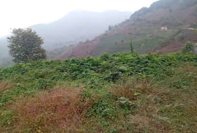 زمین دردل جنگل بادسترسی کامل ۷۰۰۰ متر