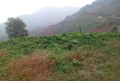 زمین دردل جنگل بادسترسی کامل ۷۰۰۰ متر