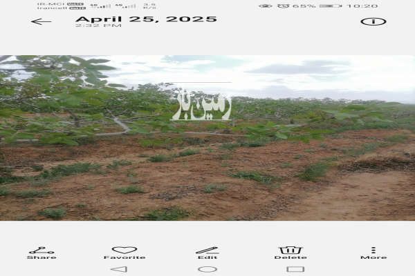 فروش باغ پسته ۱ هکتار بر جاده اشتهارد بوئین زهرا-1