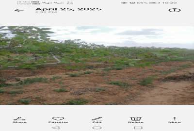 فروش باغ پسته ۱ هکتار بر جاده اشتهارد بوئین زهرا