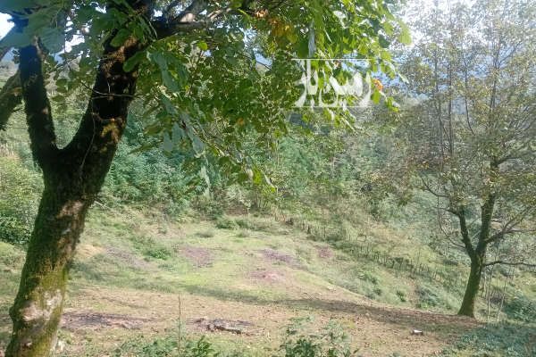 زمین در ارتفاعات با ویوی ابدی حومه سیاهکل ۱۰۰۰ متر-1