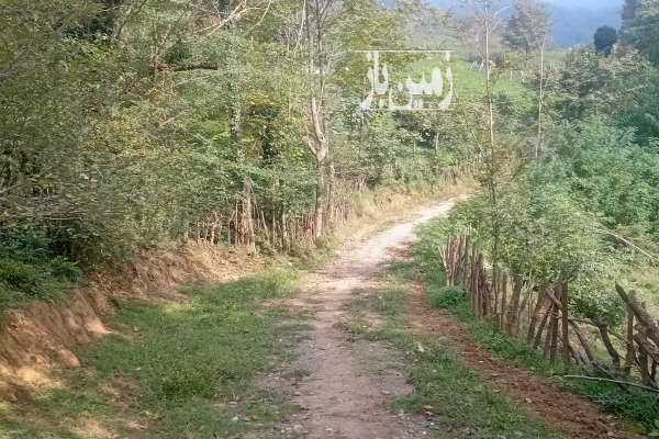 زمین در ارتفاعات با ویوی ابدی حومه سیاهکل ۱۰۰۰ متر-2