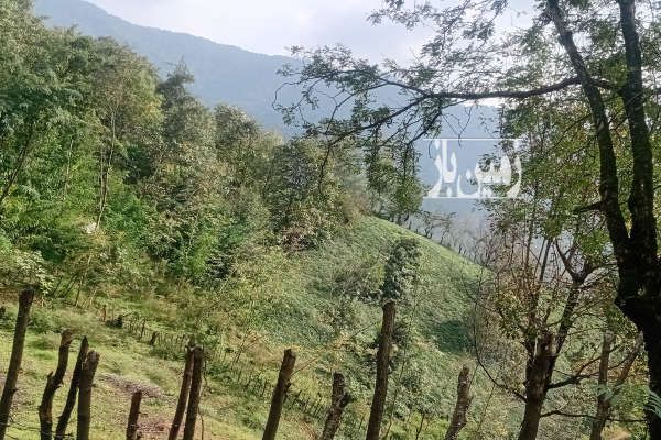 زمین در ارتفاعات با ویوی ابدی حومه سیاهکل ۱۰۰۰ متر-3