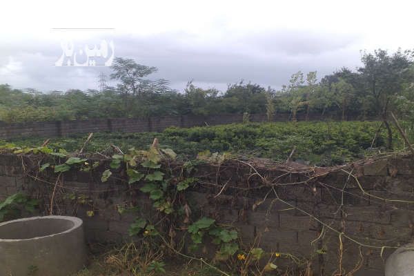 زمین مسکونی ۵۸۰ متری در رامسر محله کشباغ-3