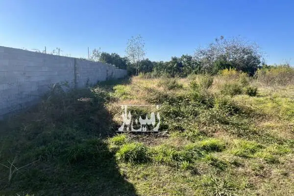 زمین باغی در روستای شیخرجه ۲۸۵ متر - تصویر 4
