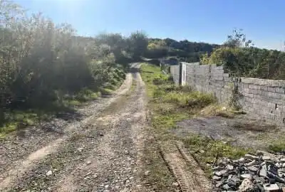 زمین باغی در روستای شیخرجه ۲۸۵ متر