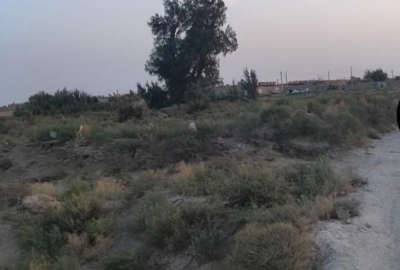 زمین زابل روستای طاغذی ۴۰۰۰ متر