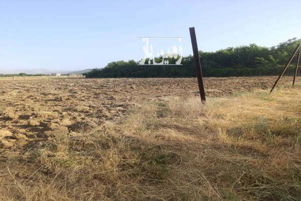 زمین در روستای نی موسک دو ۲۰۰۰ متر-1