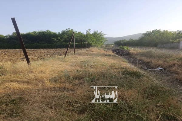 زمین در روستای نی موسک دو ۲۰۰۰ متر-3