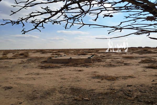 زمین ۱۰۰۰ متری واقع در دامغان روستای سبحان-2