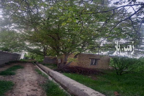 فروش باغ در روستای دارغالو ۲۱۰۰ متر-1