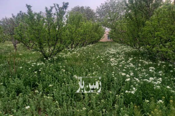 فروش باغ در روستای دارغالو ۲۱۰۰ متر-3