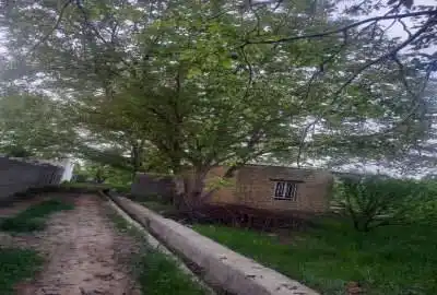 فروش باغ در روستای دارغالو ۲۱۰۰ متر