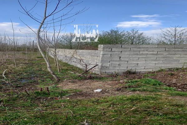زمین ۴۵۴ متر مسکونی صومعه سرا روستای سیاه اسطلخ-3