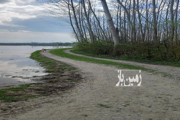 زمین ۴۵۴ متر مسکونی صومعه سرا روستای سیاه اسطلخ-4