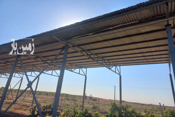 یک هکتار باغ جاده قزوین رشت روستای شنازند-3