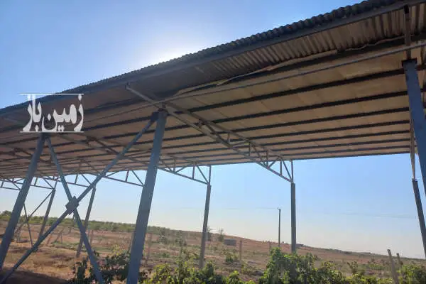 یک هکتار باغ جاده قزوین رشت روستای شنازند - تصویر 2