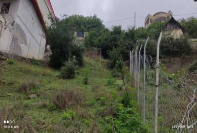 زمین ییلاقی روستای سرسبز تیلم ۴۲۹ متر