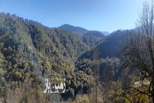زمین مسکونی ۱۷۰ متر روستای لمسوکلا امامزاده جعفر-1