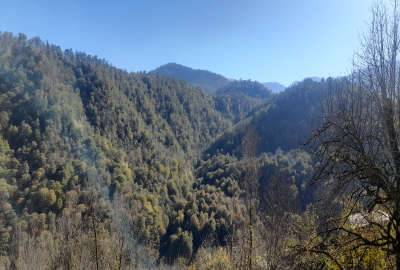 زمین مسکونی ۱۷۰ متر روستای لمسوکلا امامزاده جعفر