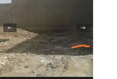 فروش زمین مسکونی در چرام ۳۴۳ متر