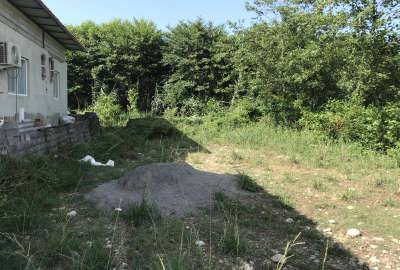 زمین شهرکی سند دار ویو جنگل ابدی ۲۱۷ متر