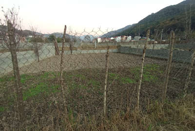 فروش زمین باغی در سوادکوه زیراب ۱۶۰ متر