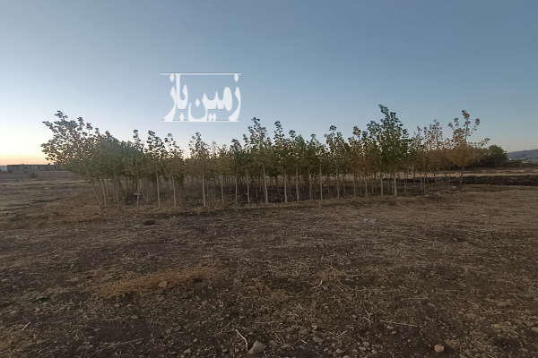 فروش یک قطعه زمین الشتر روستای چشمه برقی ۲۵۰ متر-3