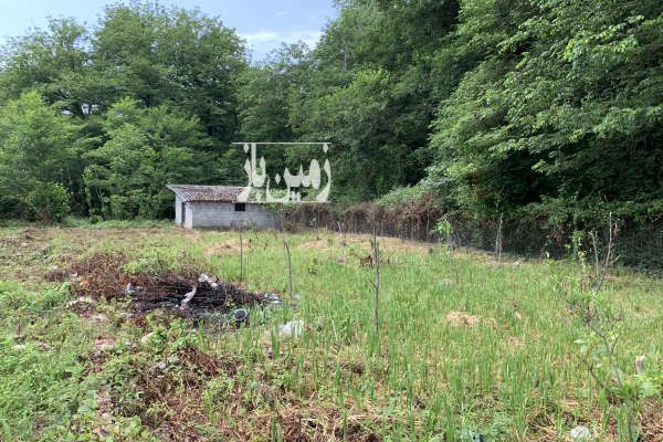 زمین پلاک ۱جنگل عباس آباد پسنده ۱۲۰۰ متر-3