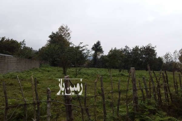 فروش زمین در نصیر محله شفت ۲۲۵ متر-3