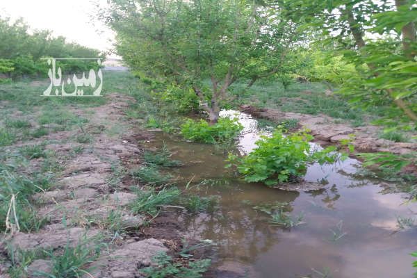 باغ میوه شهریار وحیدیه روستای قجر تخت رستم ۵۰۰۰ متر-4