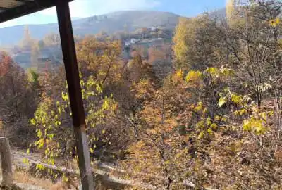 باغچه جنگلی در کوهسار ولیان روستای گلین رود ۶۲۰ متر