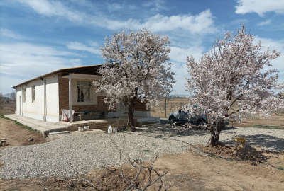 باغ ویلا با درختان متنوع بادام گردو انگور یک هکتار