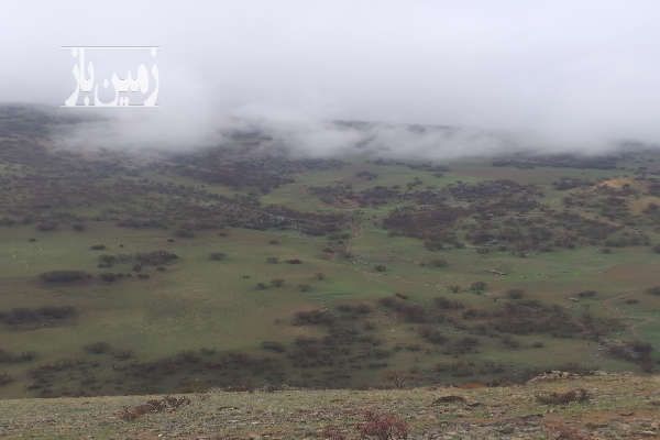 زمین کشاورزی برای باغ ویلا در روستای چغادون ۴۰۰۰ متر-3