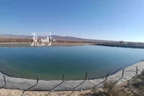 شش هکتار زمین کشاورزی پسته و انگور روستای علی اباد صالح اباد - تصویر 3