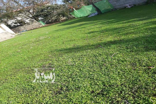 فروش زمین مسکونی ۲۰۰ متر خلیفه آباد-2