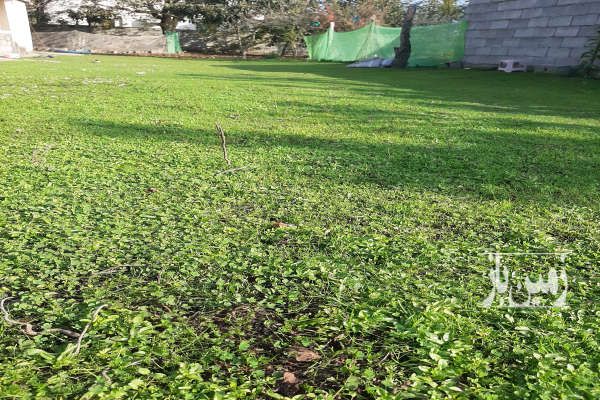 فروش زمین مسکونی ۲۰۰ متر خلیفه آباد-4